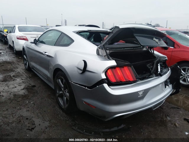 2015 Ford Fastback, VIN: 1FA6P8AM1F5404724