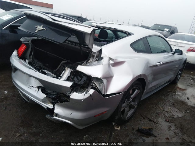 2015 Ford Fastback, VIN: 1FA6P8AM1F5404724