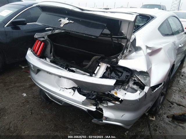 2015 Ford Fastback, VIN: 1FA6P8AM1F5404724