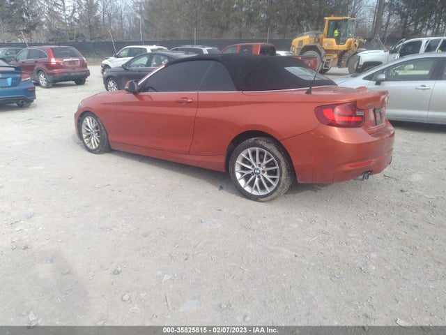 2015 BMW 2 Series, VIN: WBA1K7C5XFV473265