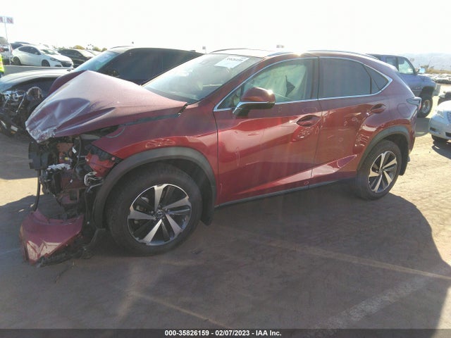 JTJDARBZ1L5006747 Lexus Nx Nx 300