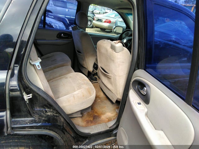 Chevrolet Trailblazer Ls 2007 1GNDS13S772223382 Image 10