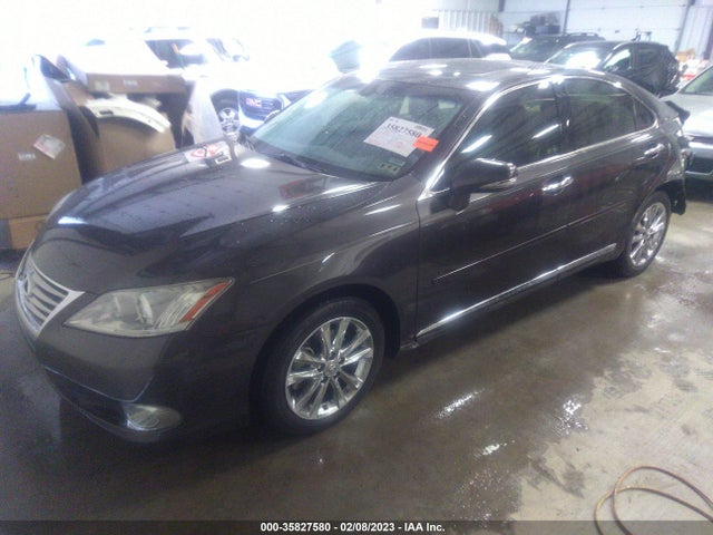 Lexus ES 350 2011 JTHBK1EG1B2418958 Image 2
