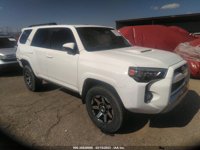 2019 Toyota 4Runner, VIN: JTEBU5JR4K5724055