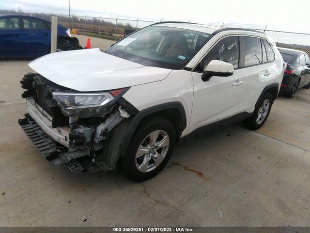 Toyota Rav4 Xle 2019 JTMW1RFV6KD006329 Image 2