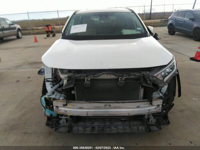Toyota Rav4 Xle 2019 JTMW1RFV6KD006329 Image 6