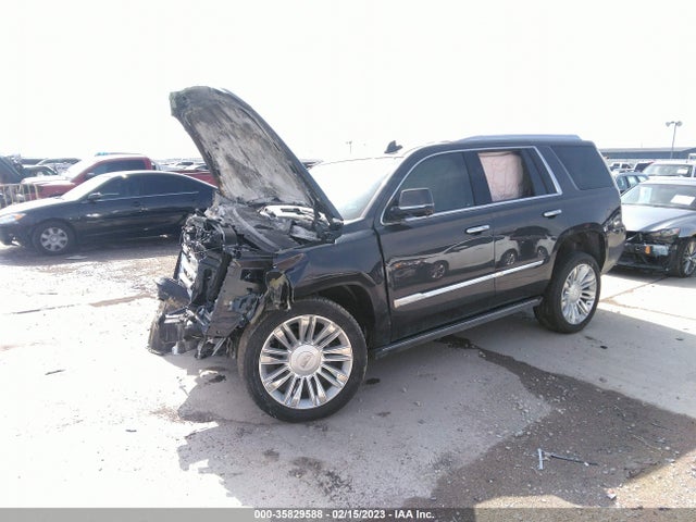 Cadillac Escalade Platinum 2016 1GYS4DKJXGR230400 Image 2