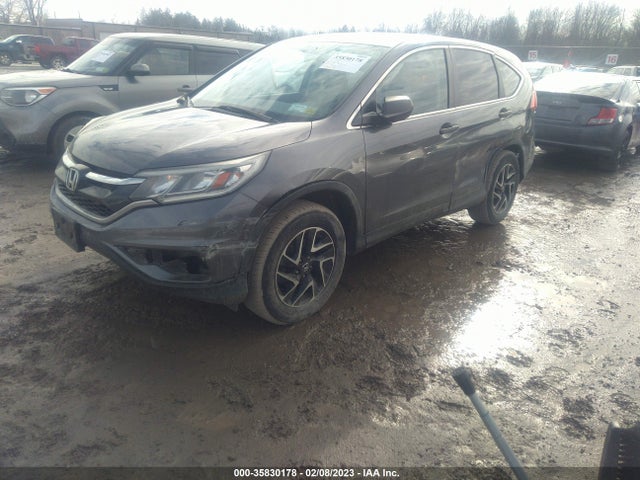 2016 Honda CR-V, VIN: 5J6RM4H42GL031103