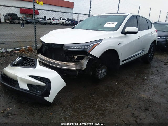 5J8TC1H6XKL019502 Acura Rdx W/a-spec Pkg