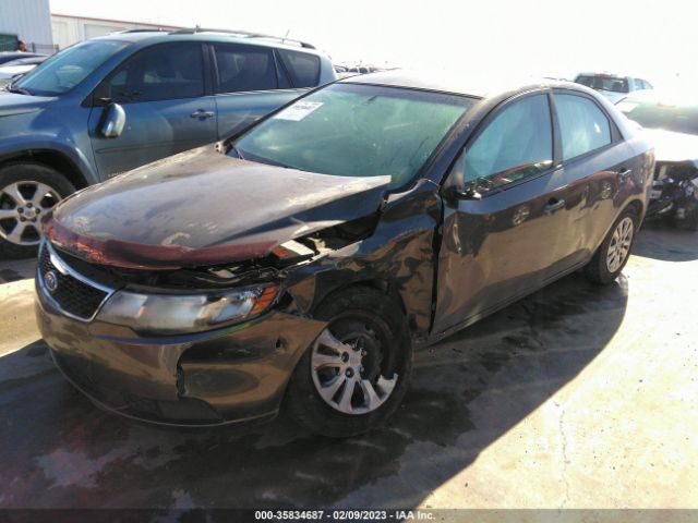 KNAFU4A24C5558153 KIA FORTE EX