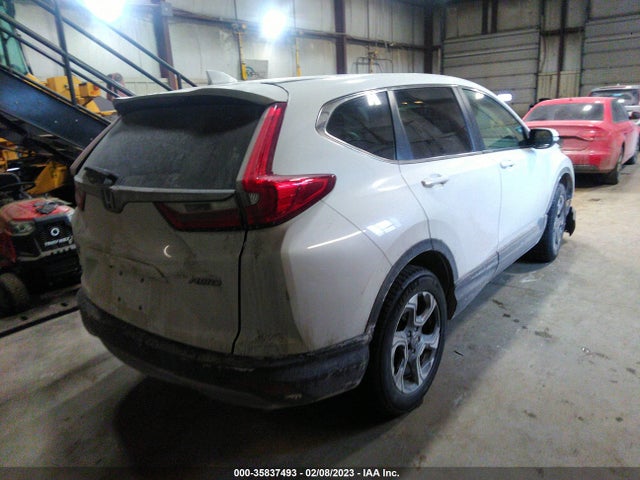 Honda CR-V EX 2019 2HKRW2H58KH626418 Image 4