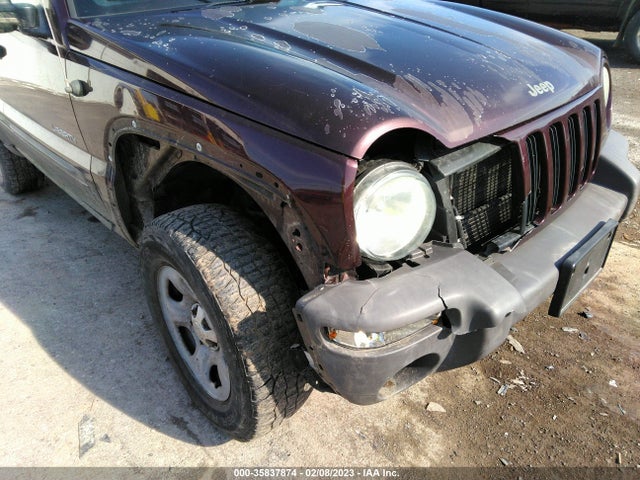 Jeep Liberty Sport 2004 1J4GL48K24W257449 Image 7