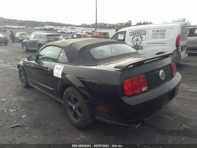 2005 FORD MUSTANG DELUXE/PREMIUM VIN: 1ZVHT84N555239985