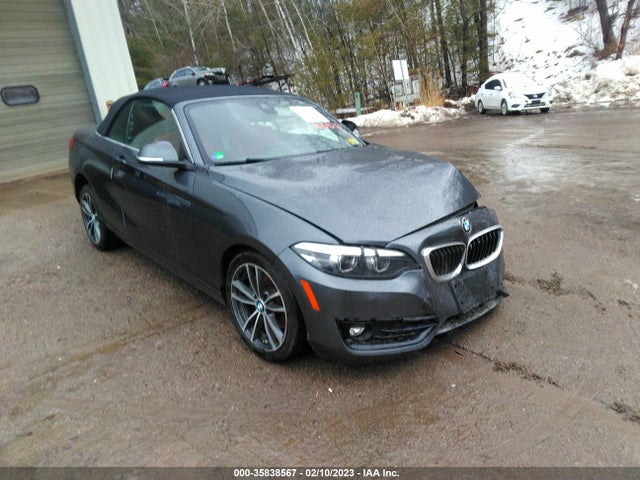 2019 BMW 2 Series, VIN: WBA2K1C52K7D11634