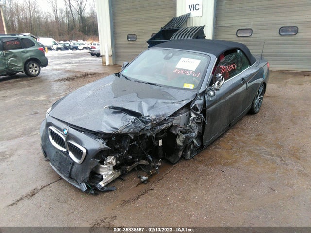 2019 BMW 2 Series, VIN: WBA2K1C52K7D11634