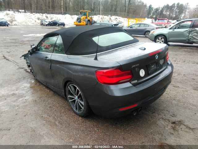 2019 BMW 2 Series, VIN: WBA2K1C52K7D11634