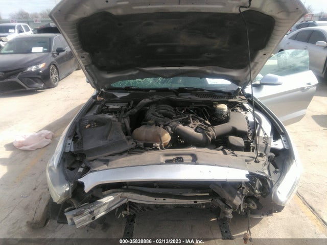 2015 Ford Fastback, VIN: 1FA6P8AM8F5375612
