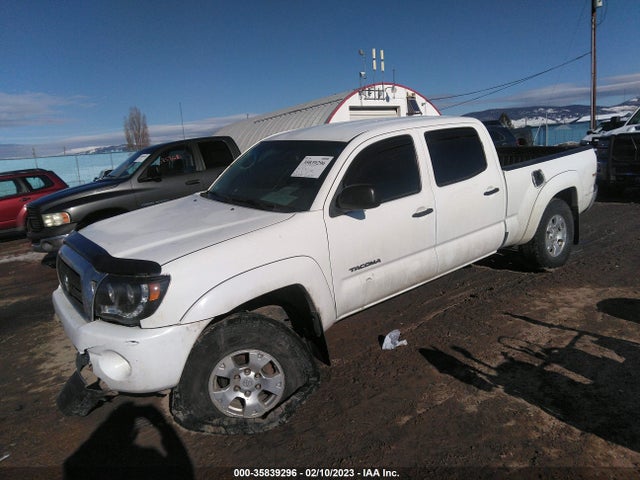 2009 TOYOTA TACOMA VIN: 3TMMU52N79M010546