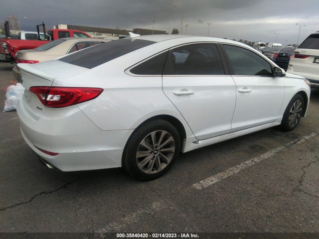 2015 HYUNDAI SONATA 2.4L SPORT VIN: 5NPE34AF4FH124534