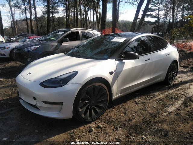 Tesla MODEL 3 2021 5YJ3E1EC3MF055492 Image 2