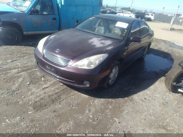 Lexus ES 330 2005 JTHBA30G555087066 Image 2