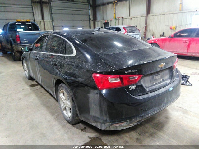 Chevrolet MALIBU LS 2019 1G1ZB5STXKF196592 Image 3
