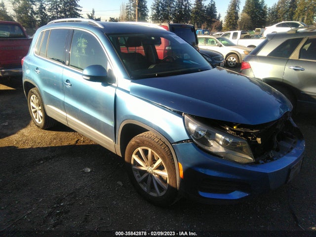 2017 Volkswagen Tiguan, VIN: WVGSV7AX0HK012272