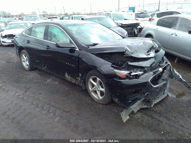 2017 1G1ZB5ST8HF186491 main image