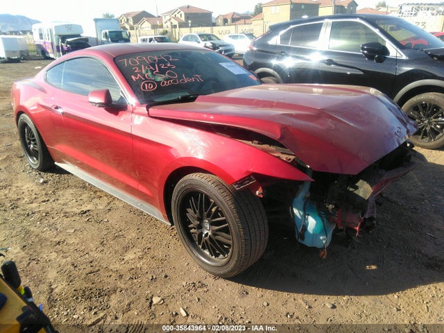2015 Ford Fastback, VIN: 1FA6P8AM2F5311615