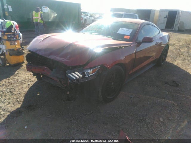 2015 Ford Fastback, VIN: 1FA6P8AM2F5311615
