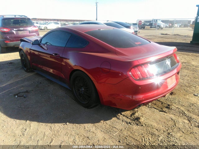 2015 Ford Fastback, VIN: 1FA6P8AM2F5311615