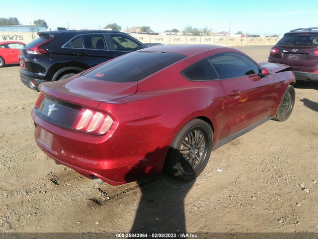 2015 Ford Fastback, VIN: 1FA6P8AM2F5311615