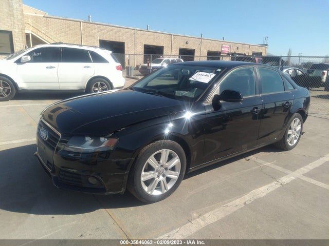 WAUAFAFL5BN011363 Audi A4 2.0t Premium
