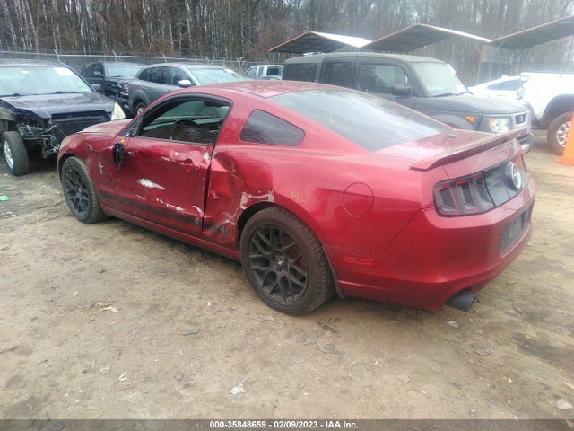2014 FORD MUSTANG V6 VIN: 1ZVBP8AM8E5301336