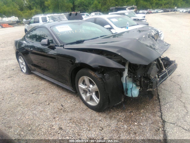 2017 1FA6P8AM6H5217286 main image