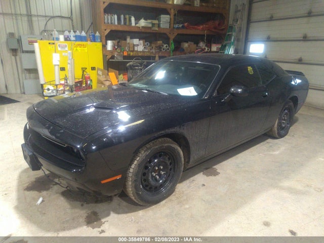 Dodge Challenger Sxt Plus 2015 2C3CDZBG7FH701157 Image 2