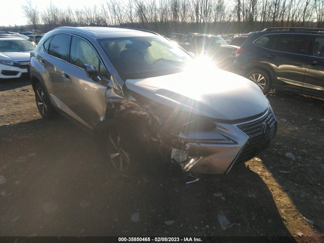 2021 Lexus NX, VIN: JTJGARDZ2M2250792