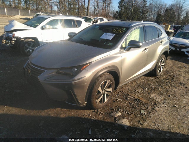 2021 Lexus NX, VIN: JTJGARDZ2M2250792