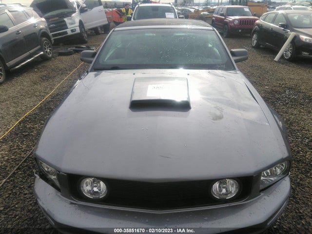 2006 FORD MUSTANG GT VIN: 1ZVHT85H565199420