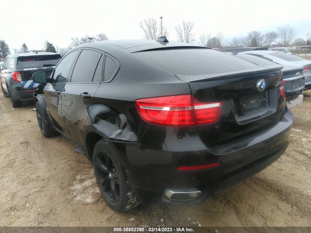 BMW X6 Xdrive50i 2014 5UXFG8C54EL593250 Image 3