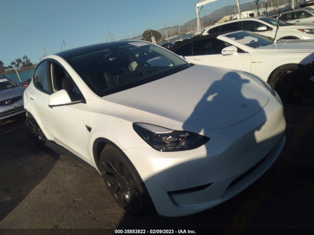 2022 Tesla Model Y, VIN: 7SAYGDEF1NF558602