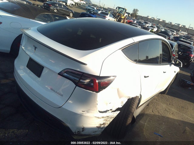 2022 Tesla Model Y, VIN: 7SAYGDEF1NF558602