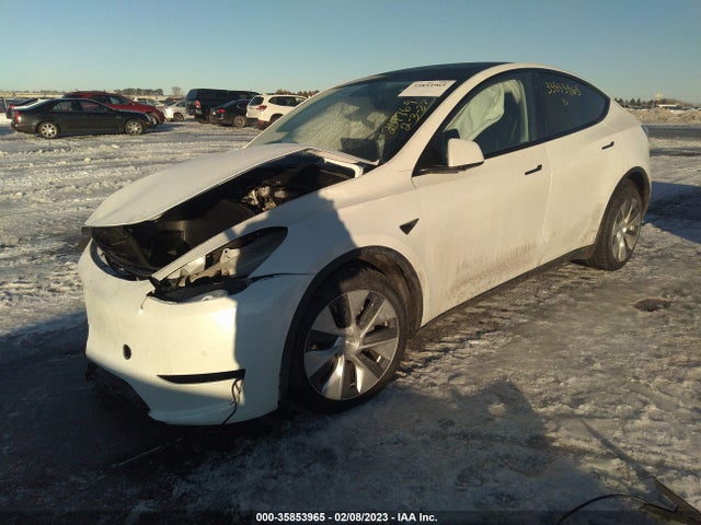 Tesla Model Y Long Range 2021 5YJYGDEE8MF063462 Image 2
