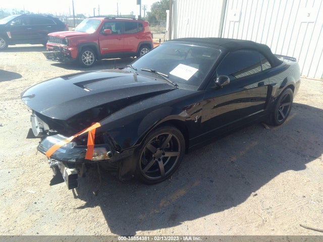 2003 FORD MUSTANG SVT COBRA VIN: 1FAFP49Y03F382527