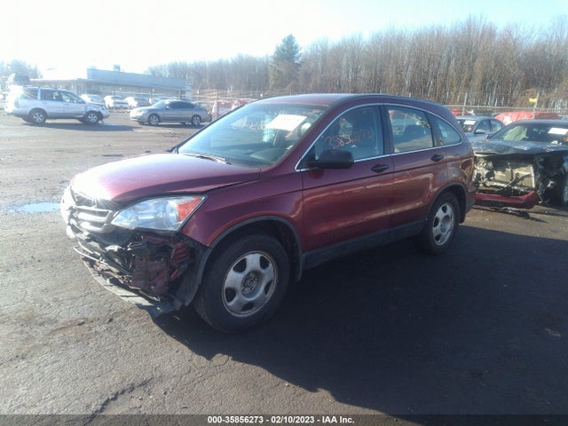 2010 HONDA CR-V LX VIN: 5J6RE4H38AL043526
