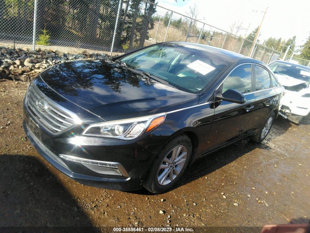 2015 Hyundai Sonata, VIN: 5NPE24AF3FH204572