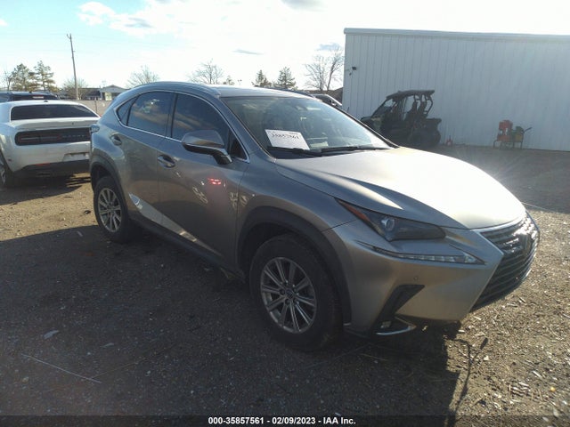 2020 Lexus NX, VIN: JTJDARBZ4L5001865