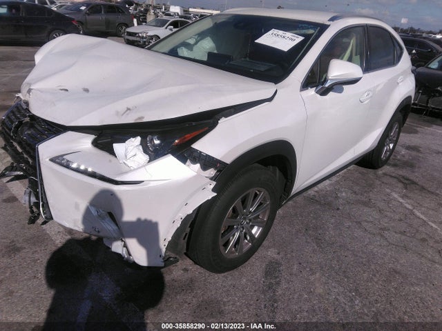 JTJDARBZ4M2195834 Lexus Nx Nx 300