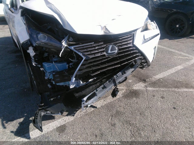 JTJDARBZ4M2195834 Lexus Nx Nx 300