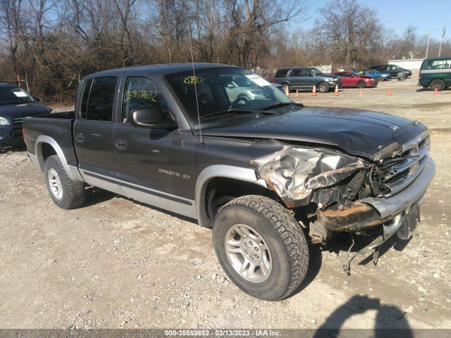 Dodge DAKOTA SLT 2002 1B7HG48N32S634478 головне зображення